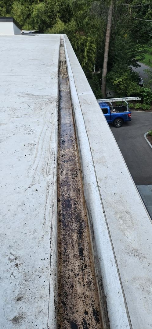 Gutter cleaning detail